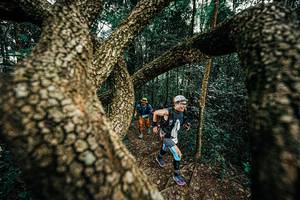 BIB: 
                            <button type="button" onclick="openModal(25393288)" class="btn btn-primary btn-sm float-right btn-popup" data-toggle="modal" data-target=".modal-high-quality">
                        <i class="fas fa-shopping-cart"></i> Add to Cart
                    </button>
                                            <button type="button" onclick="isThisMe(25393288, true)" class="btn btn-success btn-sm float-right btn-popup btn-isme hidden" data-toggle="tooltip" data-placement="bottom" title="นี่คือรูปของคุณใช่ไหม คลิกที่นี่เพื่อเอาเข้าอัลบั้ม">
                        <i class="fas fa-plus"></i> Add to album
                    </button>
                    <button type="button" onclick="isThisMe(25393288, false)" class="btn btn-warning btn-sm float-right btn-popup btn-isnotme hidden">
                        <i class="fas fa-ban"></i> Remove from album
                    </button>